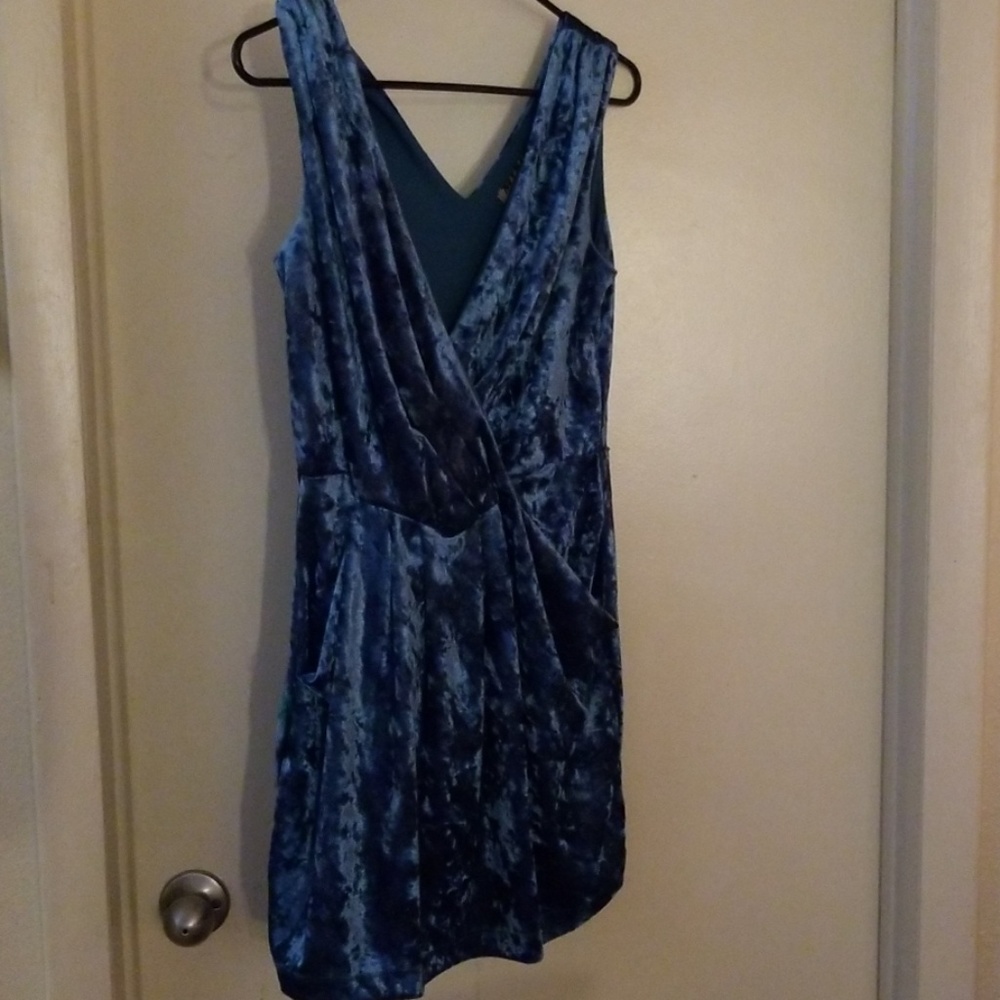 Velvet Vintage Dress